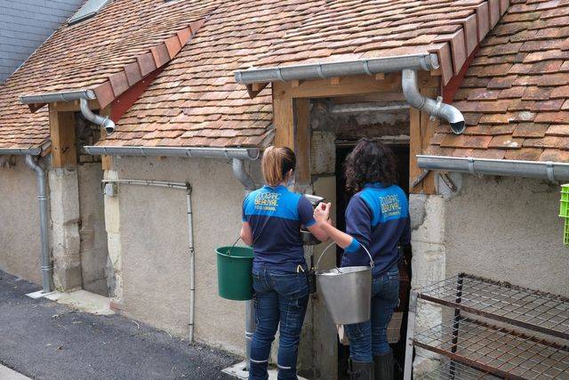 Travaux